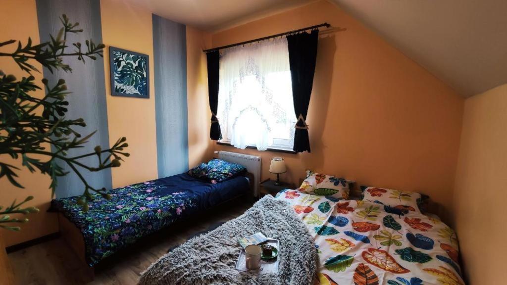 Apartamenty Pilsko Korbielów Eksteriør billede